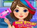 Hair Stylist DIY Salon