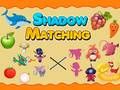 Shadow Matching