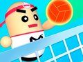 3D Amazing VolleyBall