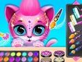 Pet Haircut Beauty Salon