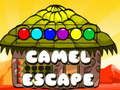 Camel Escape