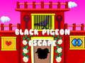 Black Pigeon Escape