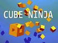 Cube Ninja