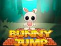 Bunny Jump