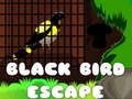 Black Bird Escape Black Bird Escape