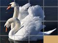 Animals Slide Puzzle Animals Slide Puzzle