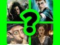 Who are you in Harry Potter 