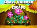 Small Unicorn Escape