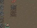 The Survival