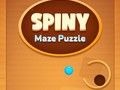 Spiny Maze Puzzle