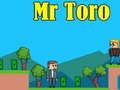 Mr Toro