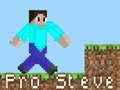 Pro Steve