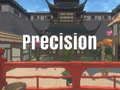 Precision 