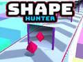 Shape Hunter