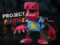 Project Play Time