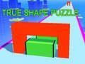 True Shape Puzzle