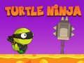 Turtle Ninja