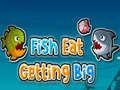 Fish Eat Getting Big