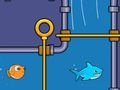 Save the Fish Save the Fish