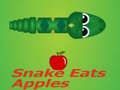 Snake Eats Apple