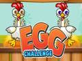 Egg Challenge