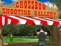 Crossbow Shooting Gallery