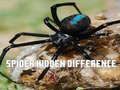 Spider Hidden Difference