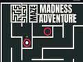 Maze Madness Adventure
