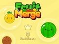 Fruit Merge