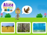 World of Alice Animal Habitat