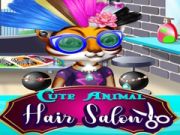Cute Animal Hair Salon Cute Animal Hair Salon