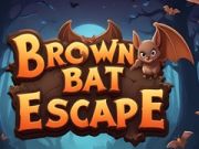 Brown Bat Escape