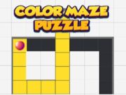 Colored Maze Puzzle
