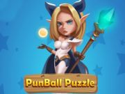 Punball Puzzle Punball Puzzle
