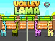 Volley Lama