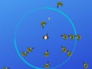 Life Circle