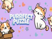 Purrfect Puzzle