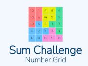 Sum Challenge Number Grid
