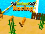 Animal Racing