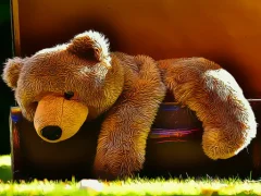 Plush Teddy Bear — لعبة مجانية اون لاين