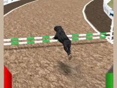 Spill Dog Racing Simulator online