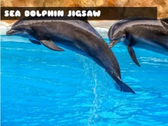 Spel Sea Dolphin Jigsaw aanlyn