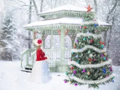 Spill Christmas Picture online