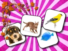 Animals Memory — لعبة مجانية اون لاين