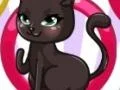 Cat Fashion Designer Cat Fashion Designer
