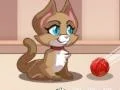 Kitty Bubbles 