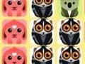 1010 Animals 1010 Animals