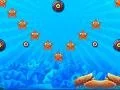 Blowfish 