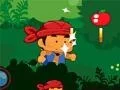 Rainforest Tales 