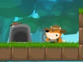 Fox Adventurer Fox Adventurer
